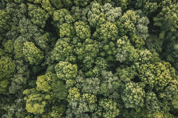 Formation hybride : allier présence et flexibilité en apprentissage